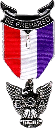 Eagle Scout Medal Pin