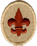 Scout Rank