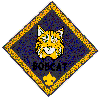 Bobcat Badge