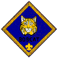 Bobcat, Cub Scout, Patch