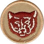 Design Your Own Bsa Patrol Patch