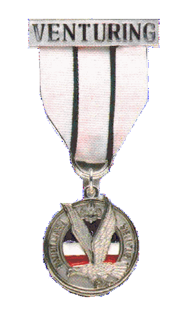 Venturing Silver Award Pin