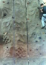 Lee Orrick Rock Climbing