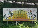 Little Horses, Gettysburg