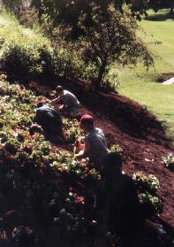 Muirfiled Golf Course