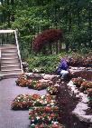 Dan Morris plants flowers around Jack Nicklaus' House!