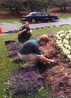 Aaron Croyle and Will Talbert plants flowers at Muirfiled