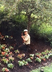 Roy Niedzielski plants flowers at Muirfiled