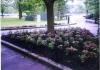 2004 Muirfield Flower Planting