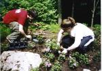 2004 Muirfield Flower Planting