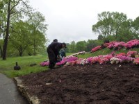 Muirfield 2006