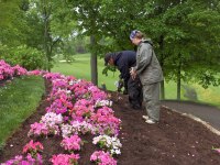 Muirfield 2006