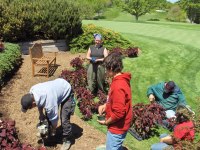 Muirfield 2006