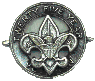 25 Year Scouting Service Pin