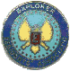 EPA - Explorer Presidant's Association Pin