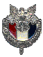 NESA - National Eagle Scout Assocation Pin