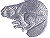 Silver Beaver Gif