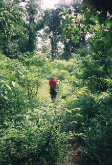 Explorer Post 369 on a hike 95