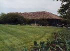 369 plants flowers at Muirfiled