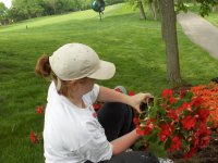 May 22 Muirfield