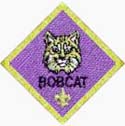 Bobcat - First Rank