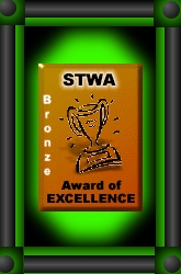 Scouting The Web BRONZE Award